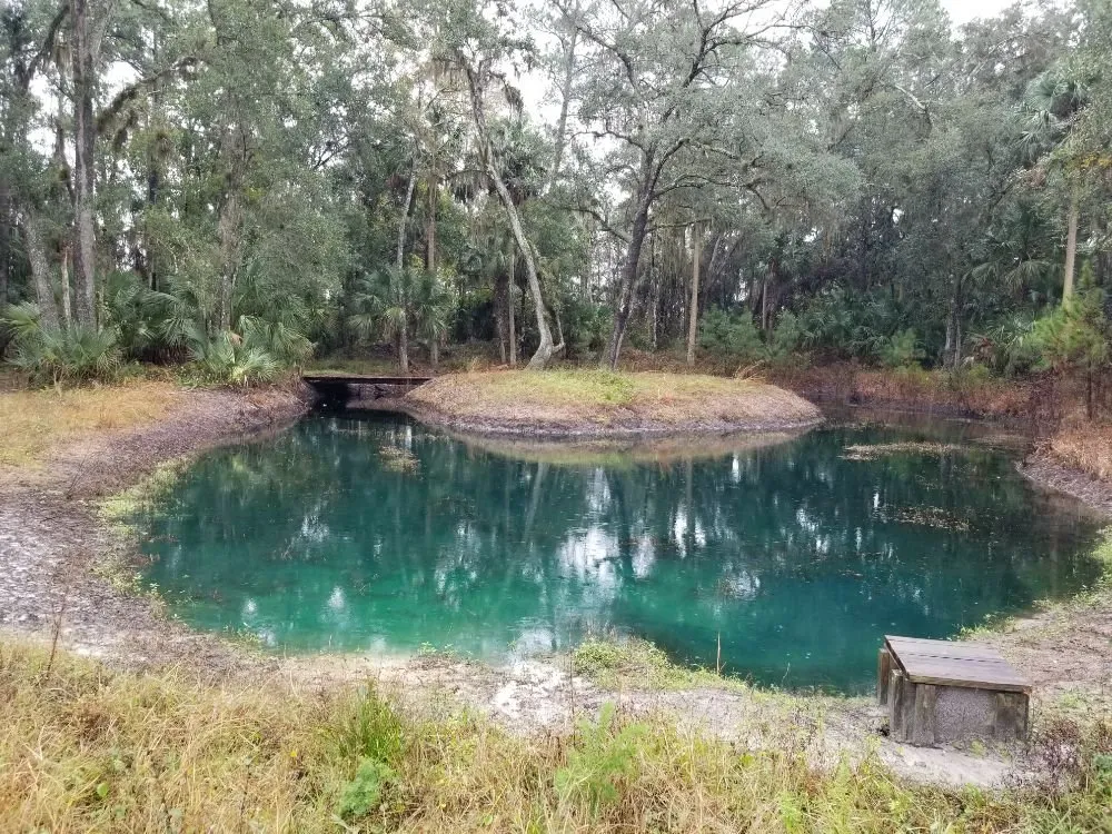 Affordable garden landscaping experts serving Deltona, FL - The Pond Guys of Central Florida