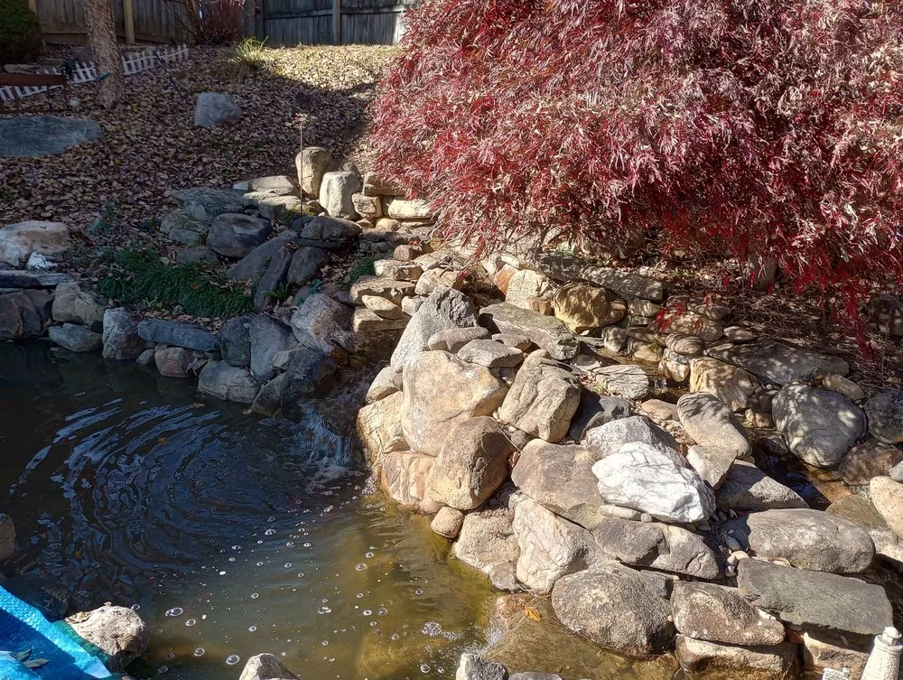 Professional landscaping services with custom design in Colonial Heights, TN by The Pond Partners