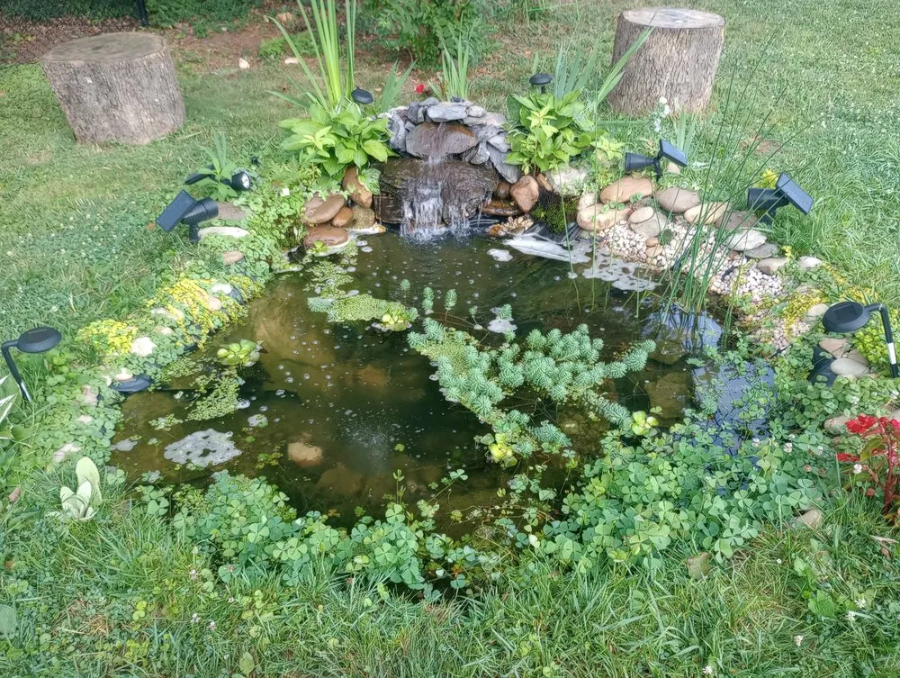 Local landscape design in Colonial Heights, TN - The Pond Partners