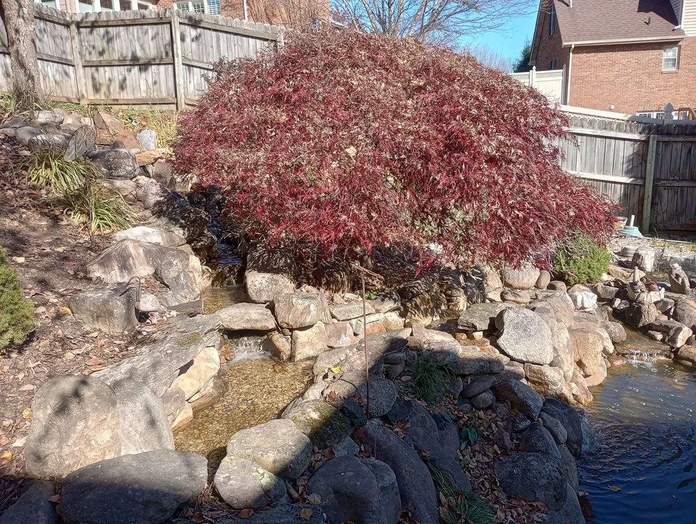 Reliable landscape design in Colonial Heights, TN - The Pond Partners