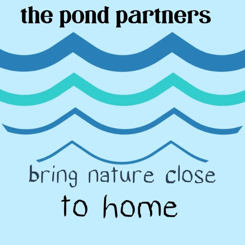 Top-rated residential landscaping in Colonial Heights, TN - The Pond Partners