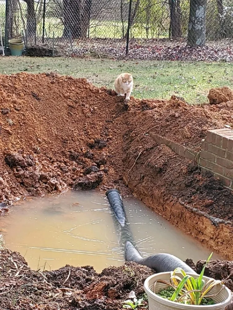 Trusted outdoor landscaping for year-round maintenance in Colonial Heights, TN by The Pond Partners