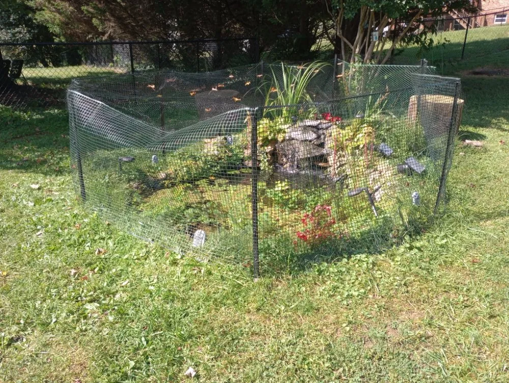 Top-rated yard cleanup service experts serving Colonial Heights, TN - The Pond Partners