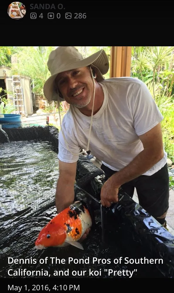 Trusted landscape design for beautiful yards across Claremont, CA - The Pond Pros of Southern California