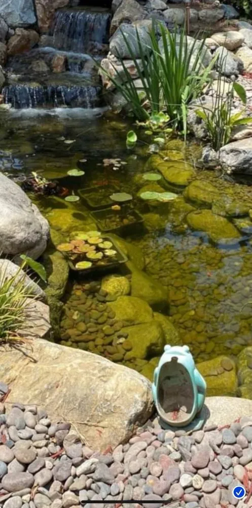 Top-rated garden landscaping in Claremont, CA - The Pond Pros of Southern California