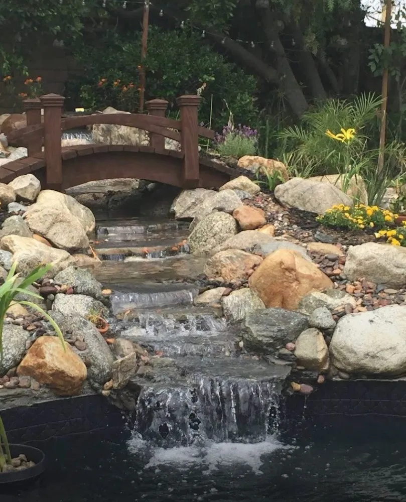 Professional landscape design for year-round maintenance in Claremont, CA by The Pond Pros of Southern California