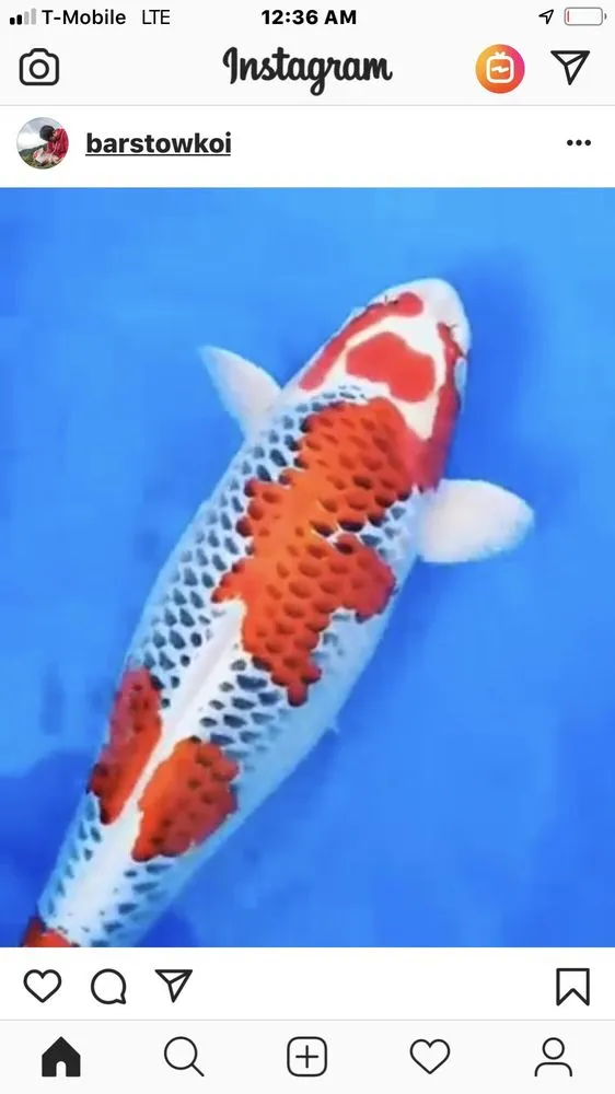 Trusted lawn mowing service for residential properties across Claremont, CA - The Pond Pros of Southern California