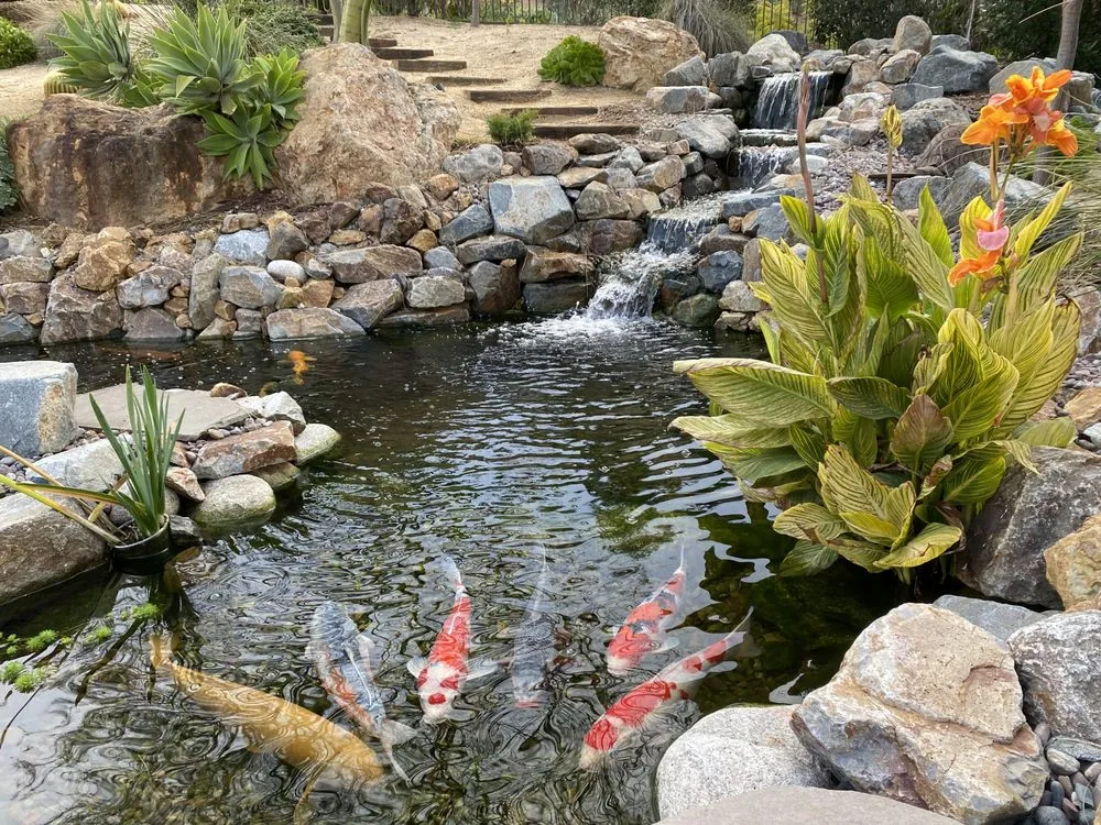 Expert outdoor landscaping in Claremont, CA by The Pond Pros of Southern California