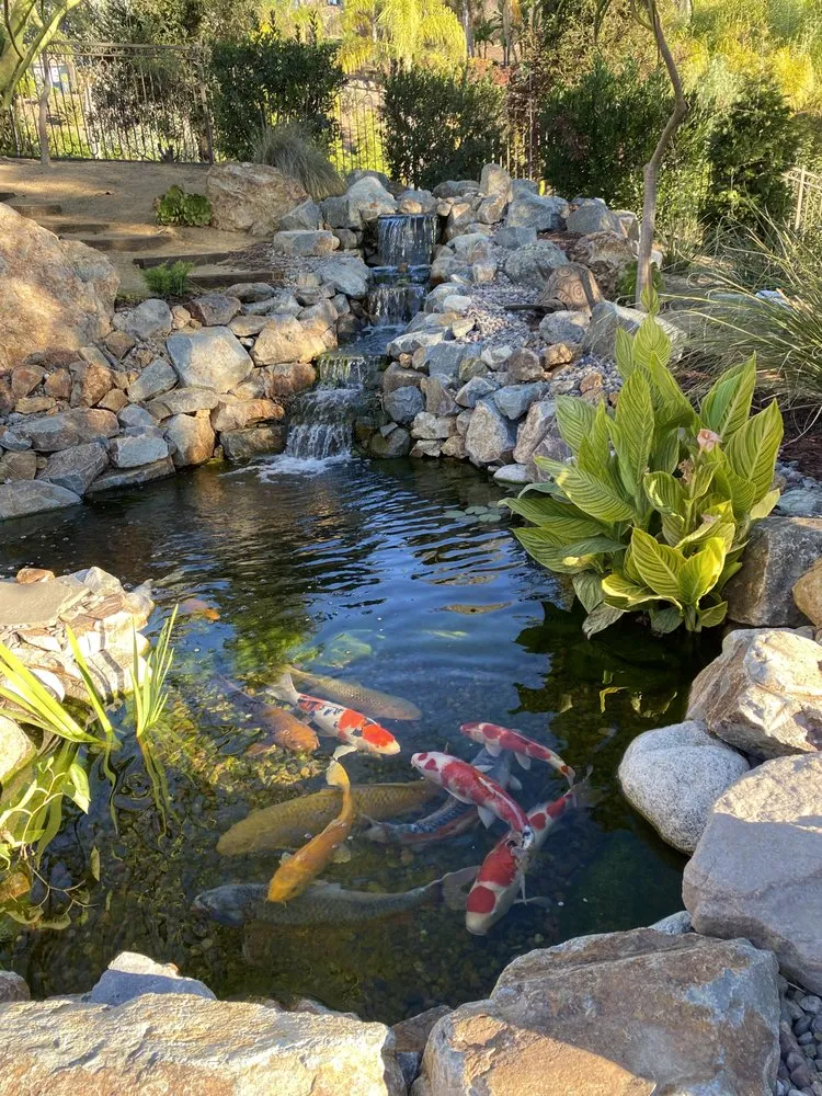 Affordable lawn mowing service for outdoor upgrades in Claremont, CA by The Pond Pros of Southern California