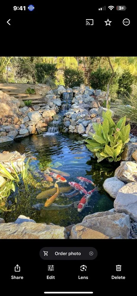 Top-rated yard maintenance for homes in Claremont, CA by The Pond Pros of Southern California