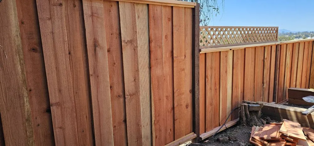 Reliable yard maintenance experts serving Oakland, CA - The Porch Holistic Garden Center