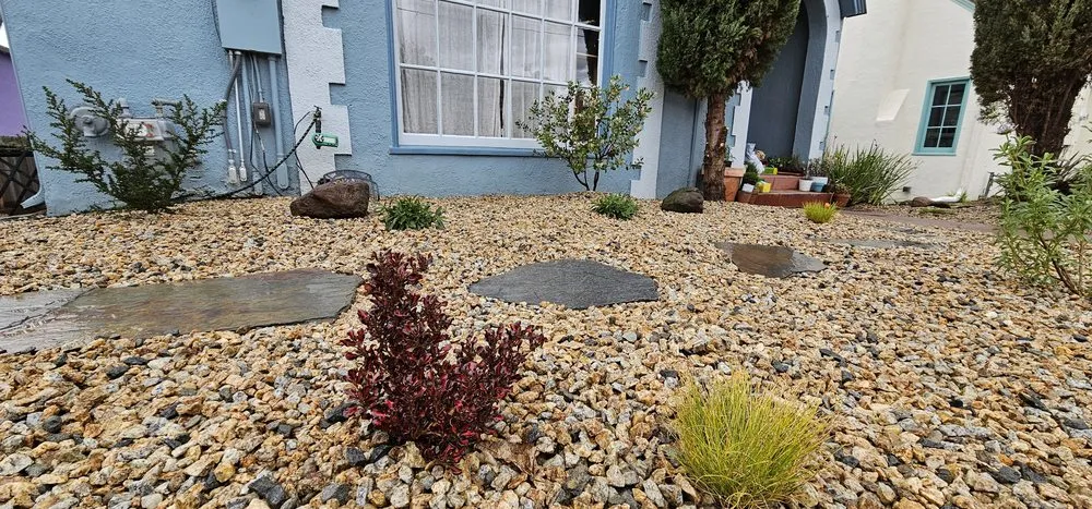 Affordable yard cleanup service experts serving Oakland, CA - The Porch Holistic Garden Center