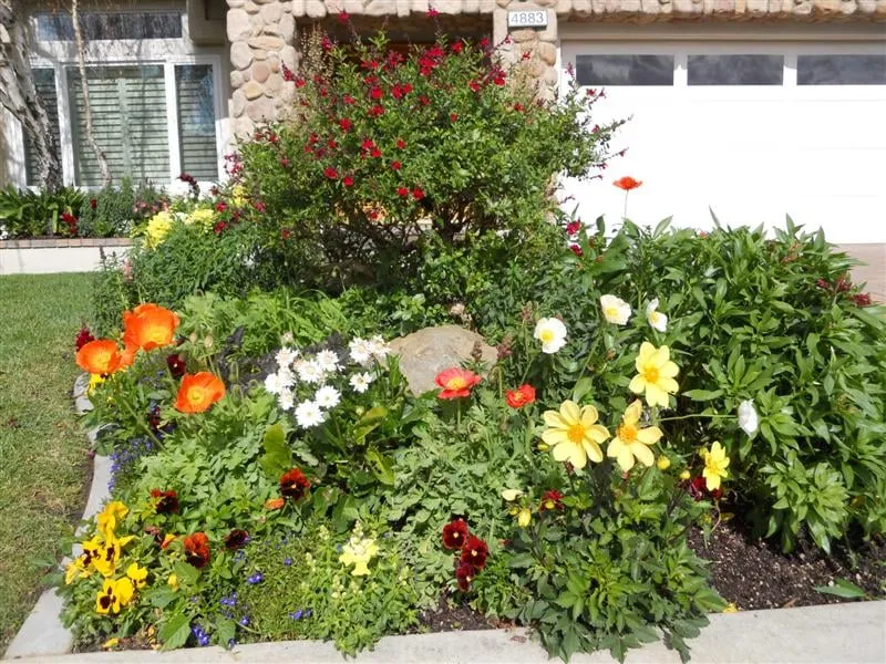 Top-rated landscape installation with custom design in Garden Grove, CA by The Posie Pushers