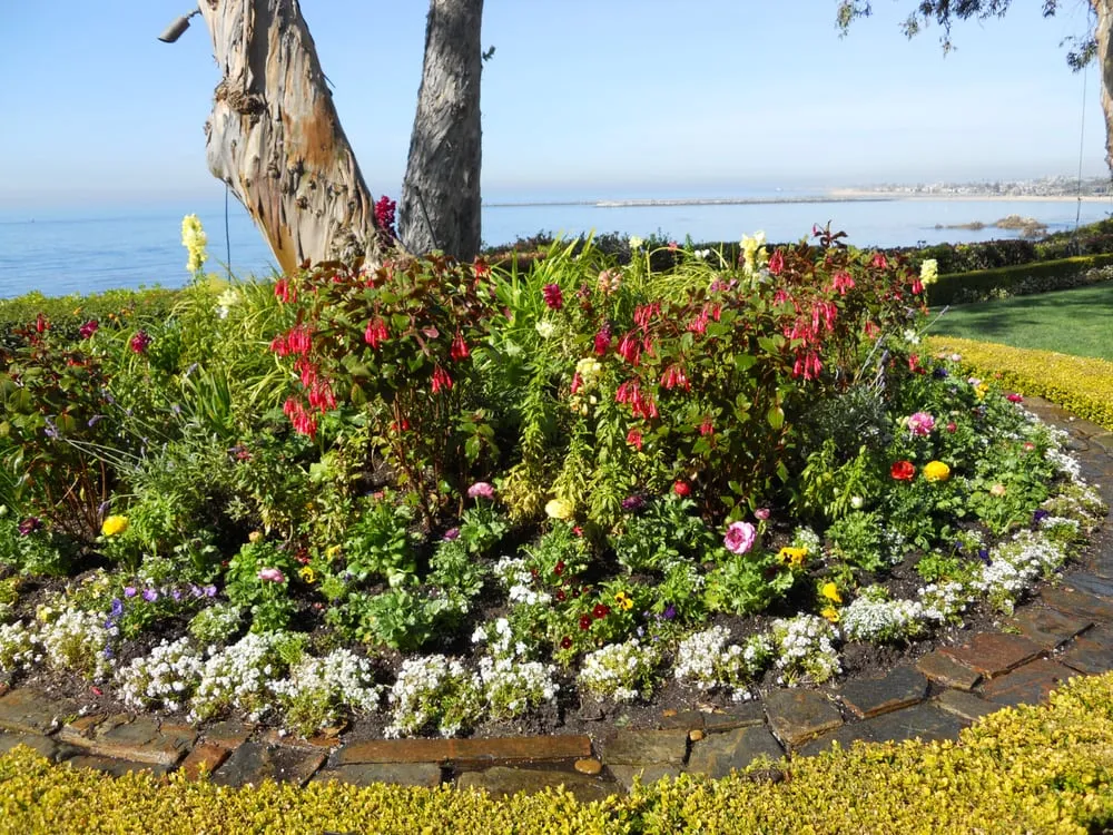 Custom lawn mowing service in Garden Grove, CA by The Posie Pushers