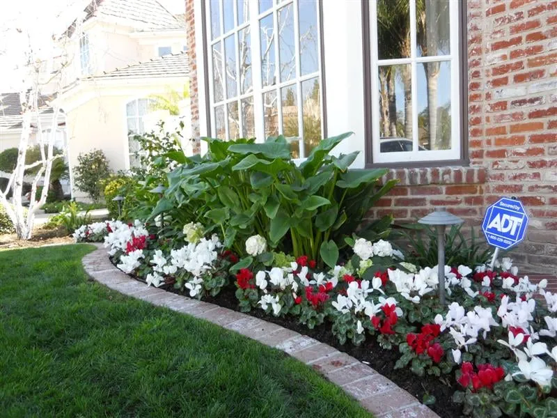 Top-rated yard maintenance experts serving Garden Grove, CA - The Posie Pushers