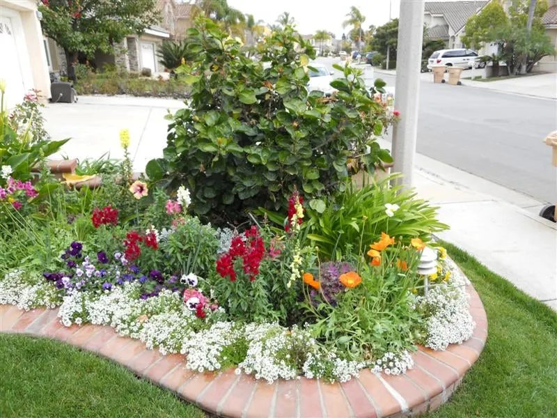 Trusted landscaping services for year-round maintenance across Garden Grove, CA - The Posie Pushers