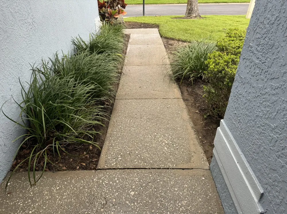 Trusted landscape design in Kissimmee, FL - The Pressure Washing Brothers