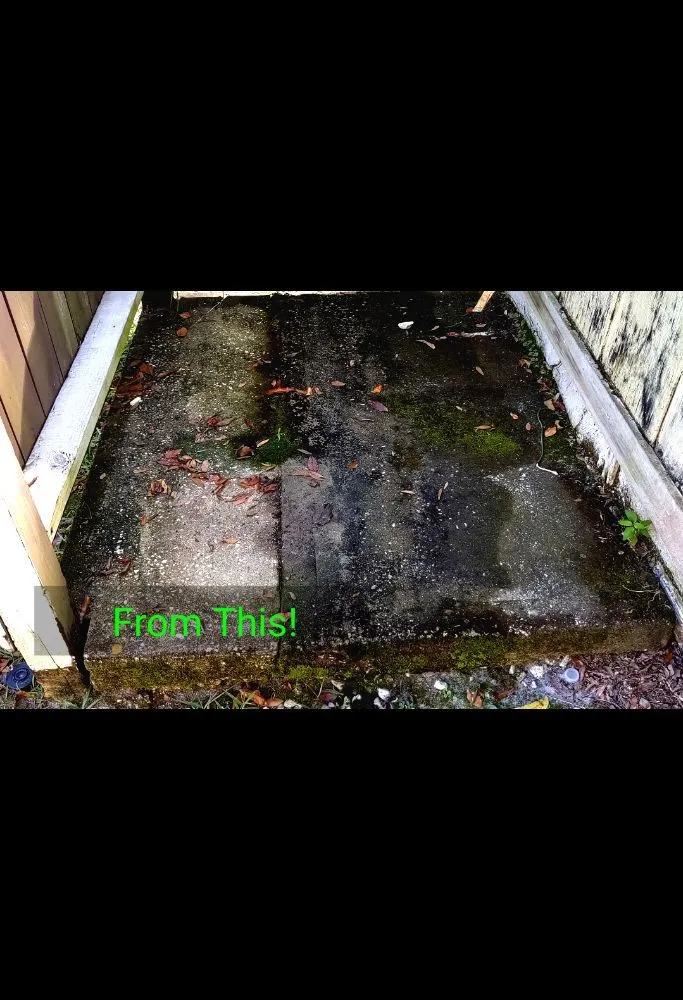 Local outdoor landscaping for beautiful yards in Crystal River, FL by The Price Is Right Pressure Washing & Lawn Care Service