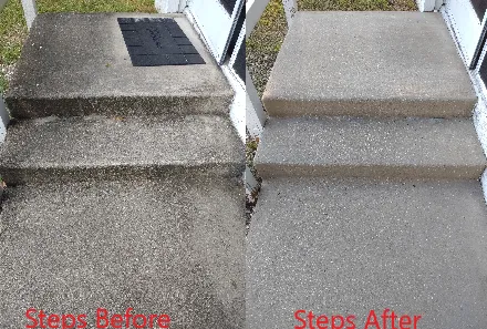 Top-rated landscape design in Crystal River, FL - The Price Is Right Pressure Washing & Lawn Care Service