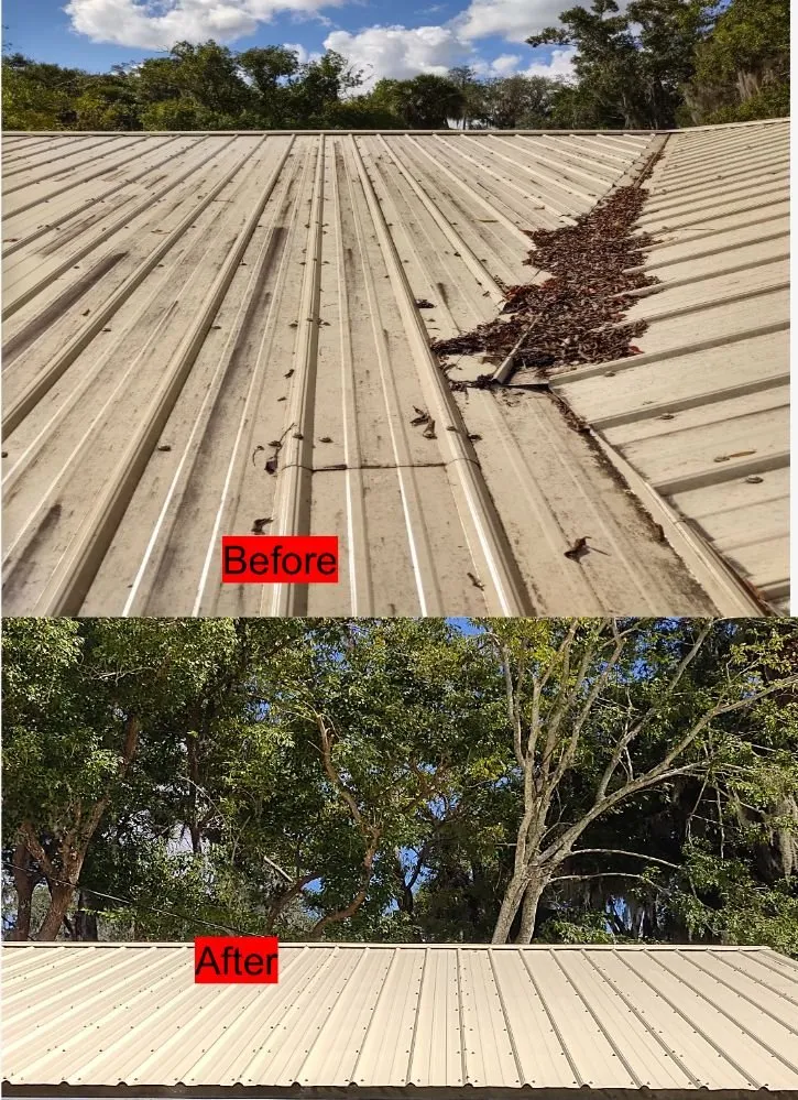 Top-rated outdoor landscaping with custom design in Crystal River, FL by The Price Is Right Pressure Washing & Lawn Care Service