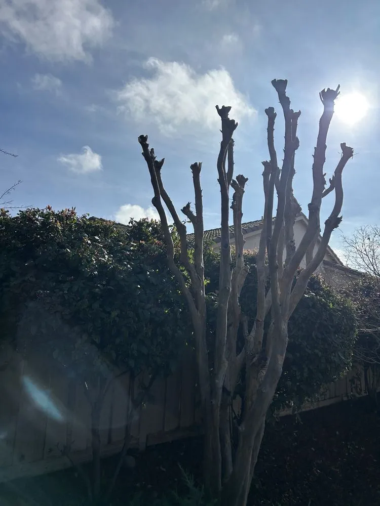 Top-rated yard maintenance for outdoor upgrades across Lincoln, CA - The Priority Maintenance & Landscape