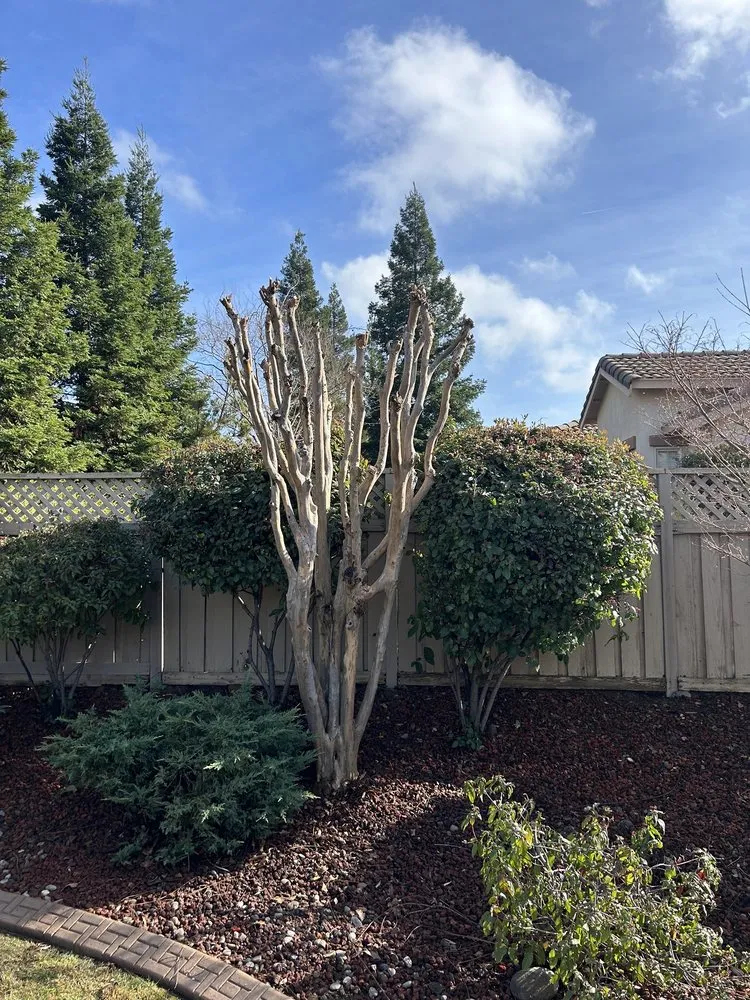 Custom lawn mowing service for year-round maintenance in Lincoln, CA by The Priority Maintenance & Landscape