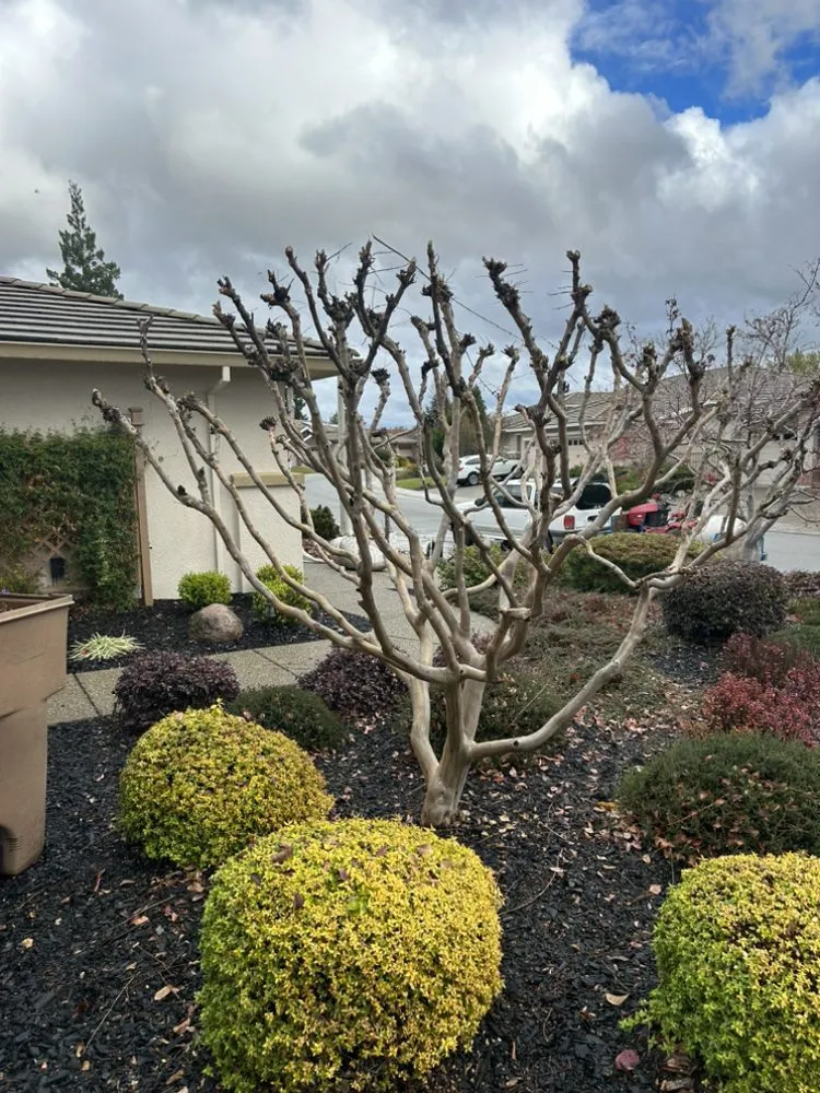 Local garden landscaping in Lincoln, CA by The Priority Maintenance & Landscape