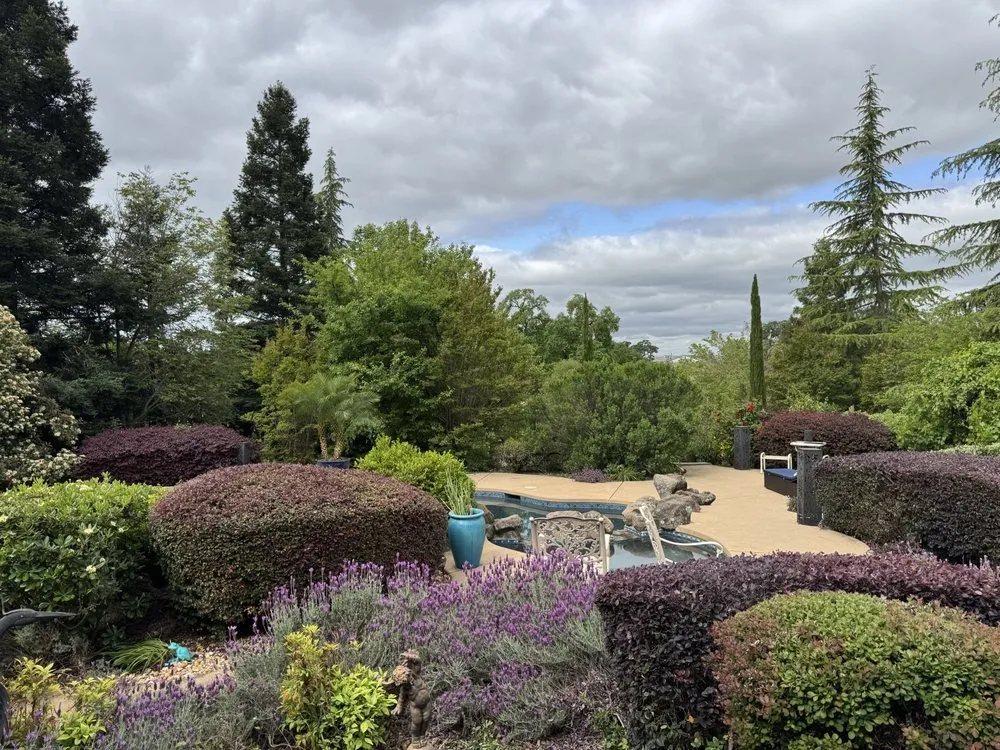 Custom lawn mowing service for outdoor upgrades in Lincoln, CA by The Priority Maintenance & Landscape