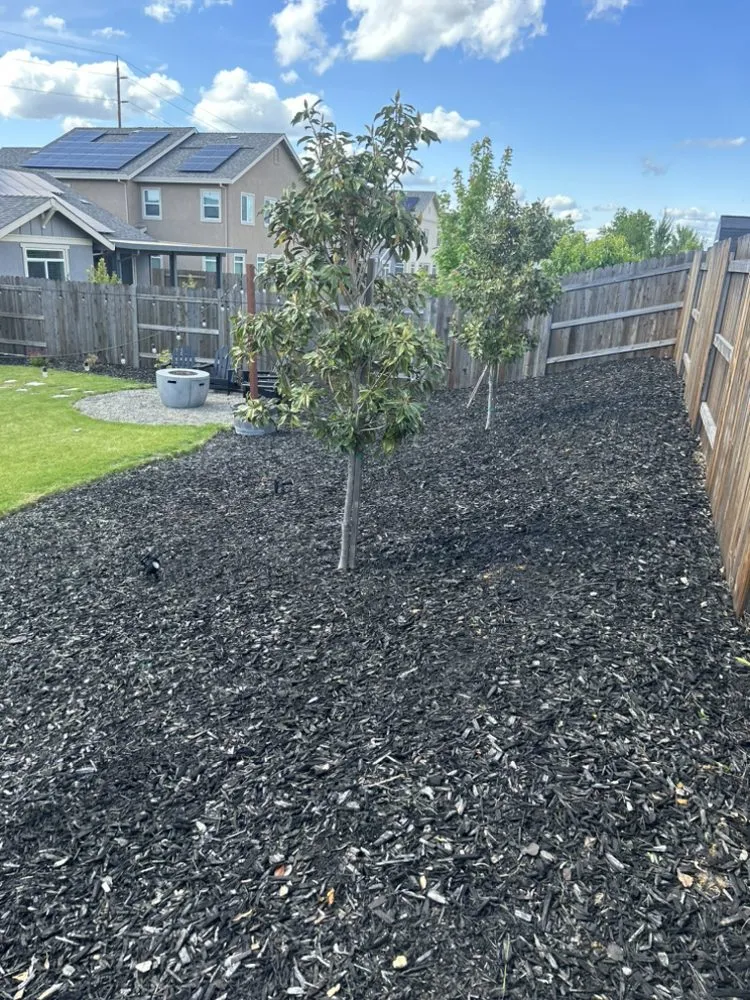 Professional garden landscaping for residential properties across Lincoln, CA - The Priority Maintenance & Landscape