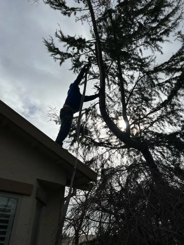 Affordable outdoor landscaping for year-round maintenance across Lincoln, CA - The Priority Maintenance & Landscape