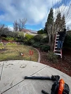 Trusted landscape installation for outdoor upgrades across Lincoln, CA - The Priority Maintenance & Landscape