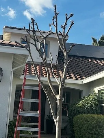 Reliable lawn mowing service in Lincoln, CA by The Priority Maintenance & Landscape