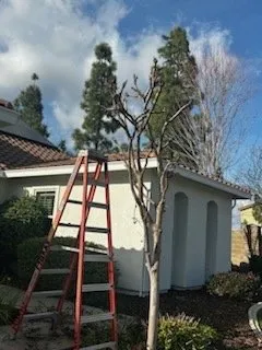 Custom landscaping services in Lincoln, CA by The Priority Maintenance & Landscape