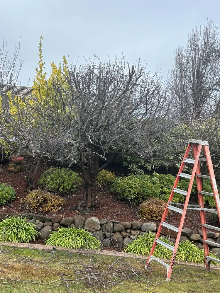 Reliable lawn care service in Lincoln, CA - The Priority Maintenance & Landscape