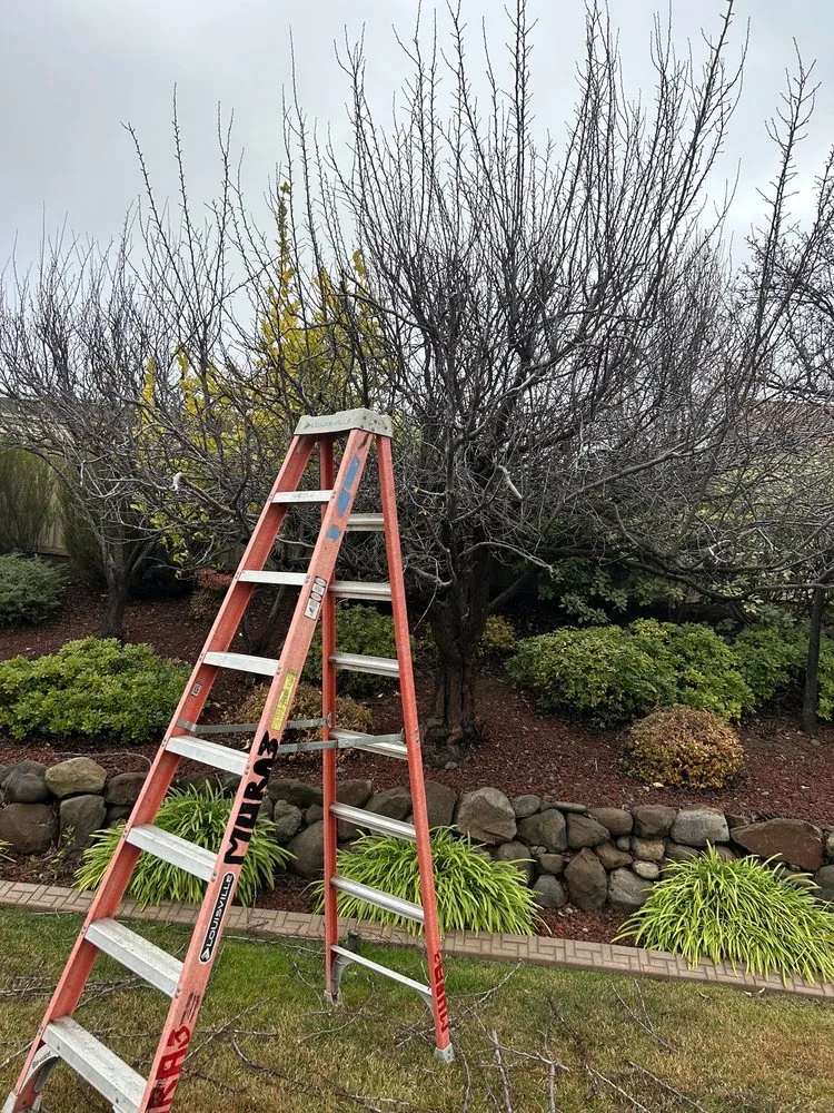 Expert residential landscaping for residential properties in Lincoln, CA by The Priority Maintenance & Landscape