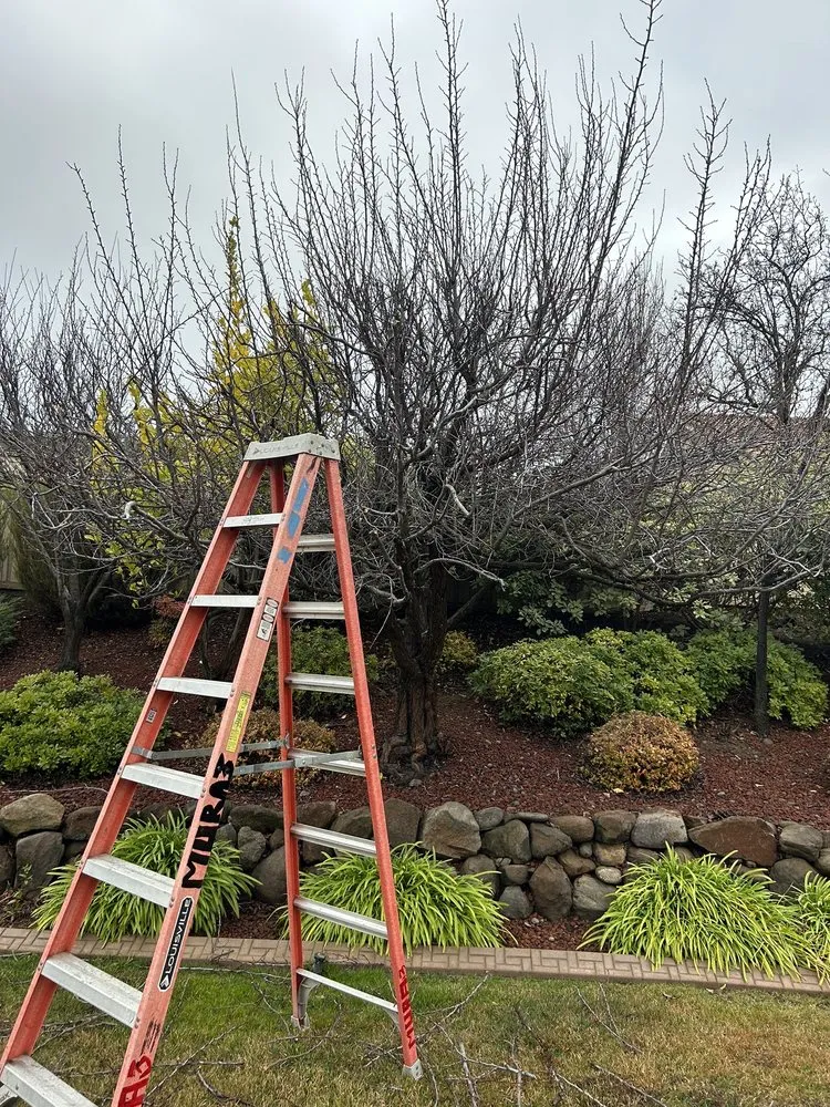 Trusted lawn mowing service for beautiful yards across Lincoln, CA - The Priority Maintenance & Landscape