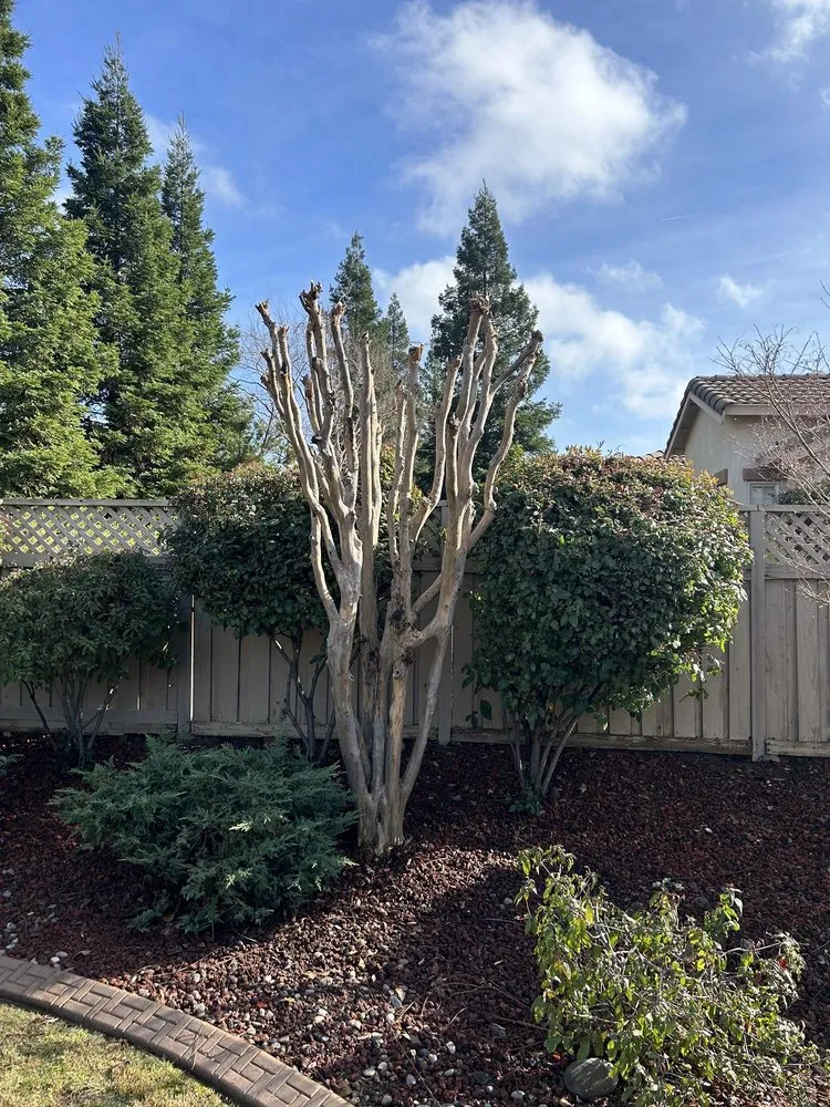 Reliable landscape installation in Lincoln, CA by The Priority Maintenance & Landscape