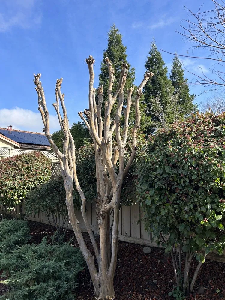 Affordable yard maintenance with custom design across Lincoln, CA - The Priority Maintenance & Landscape