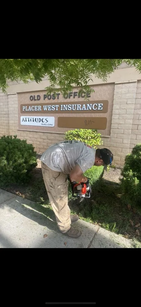 Expert yard maintenance in Lincoln, CA - The Priority Maintenance & Landscape