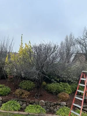 The Priority Maintenance & Landscape Logo