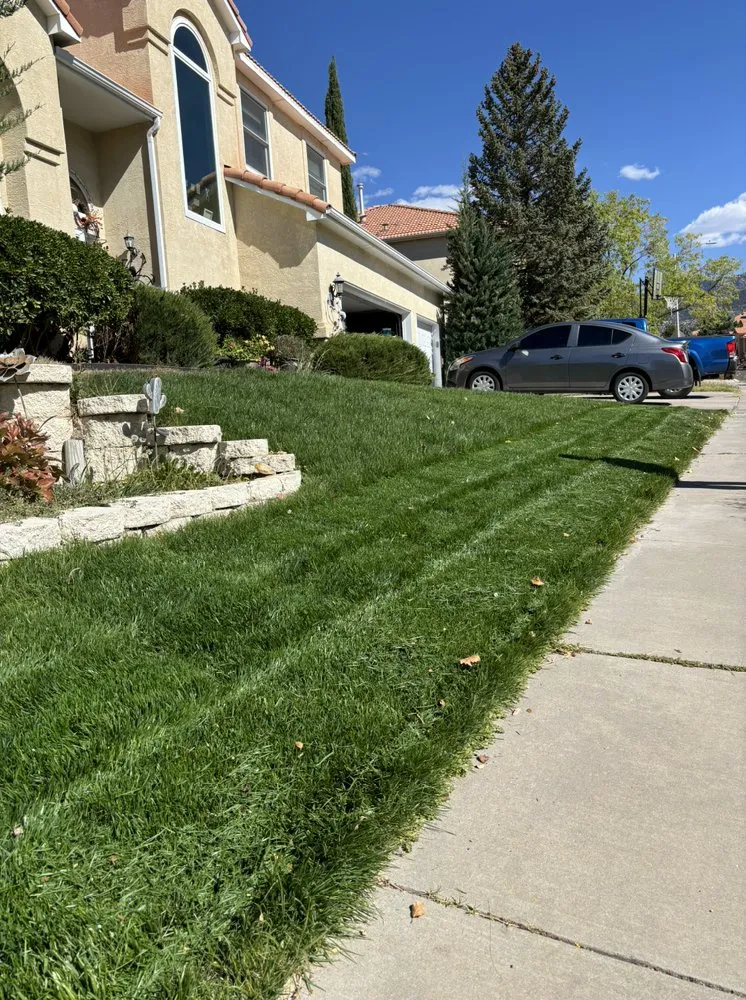 Professional residential landscaping for beautiful yards across Corrales, NM - The Pro Bros Landscaping
