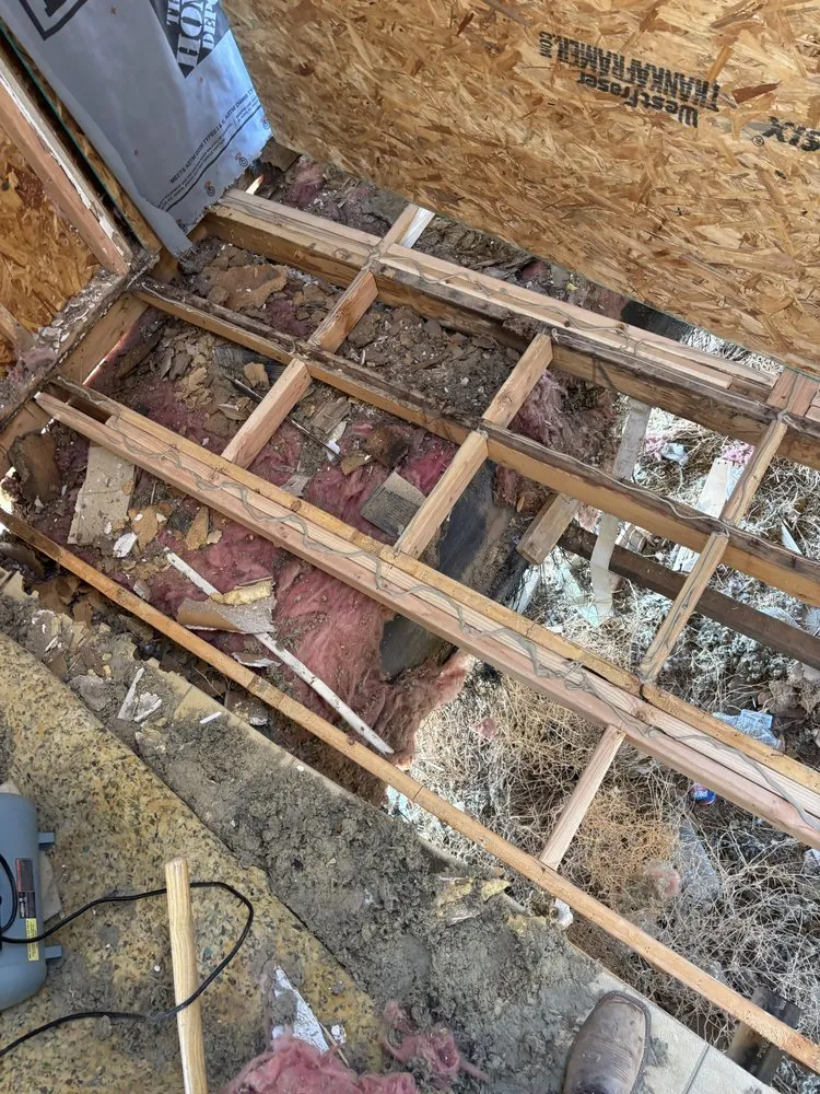 Trusted yard cleanup service experts serving Corrales, NM - The Pro Bros Landscaping