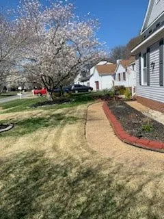 Local yard maintenance experts serving Hampton, VA - The Pro Lawn