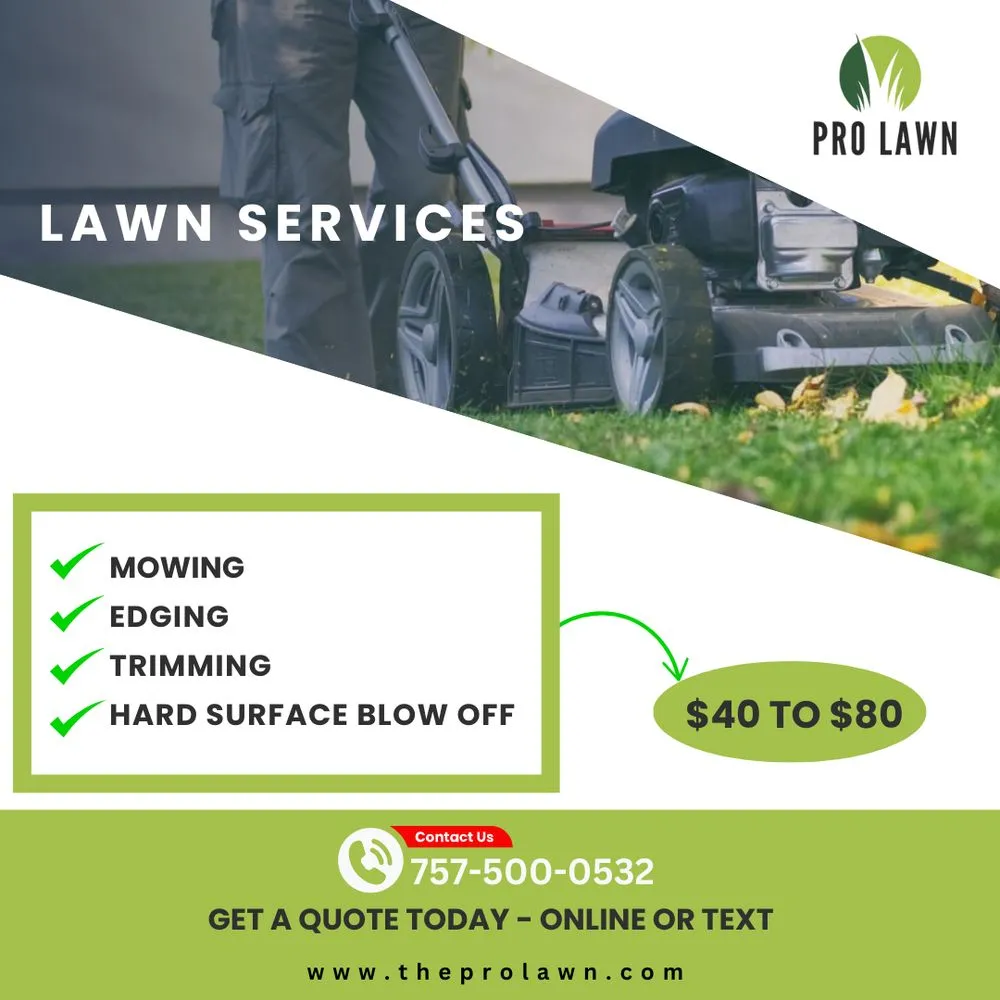 Affordable yard cleanup service in Hampton, VA by The Pro Lawn