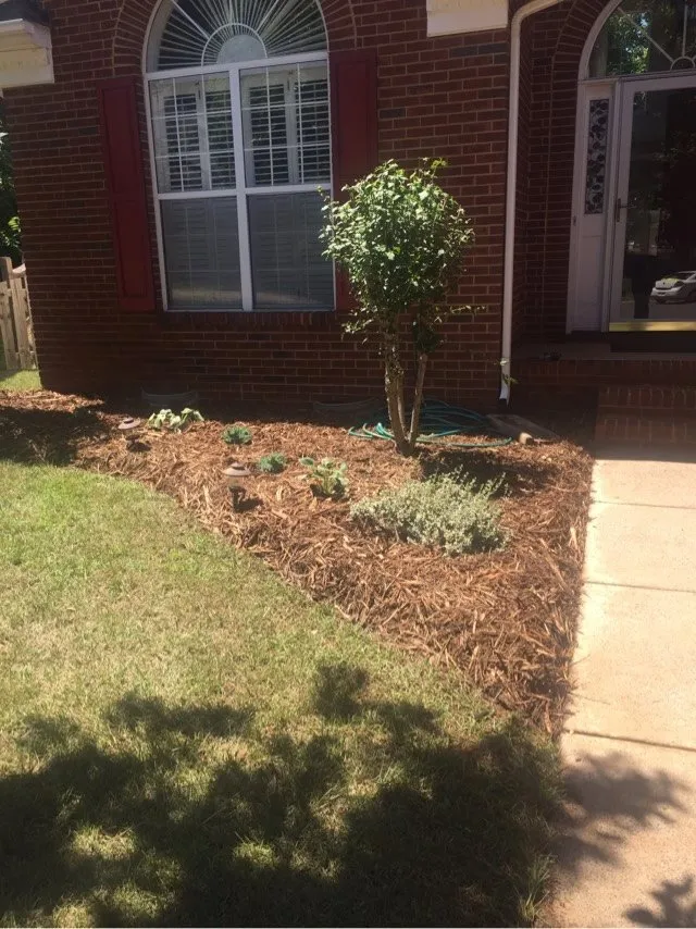 Top-rated landscape design in Charlotte, NC by The Pro TEK Group