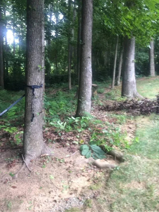 Local residential landscaping in Charlotte, NC by The Pro TEK Group