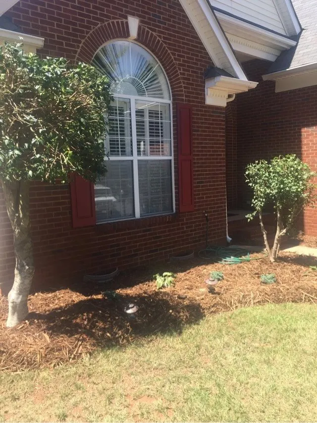 Expert landscape design for year-round maintenance across Charlotte, NC - The Pro TEK Group