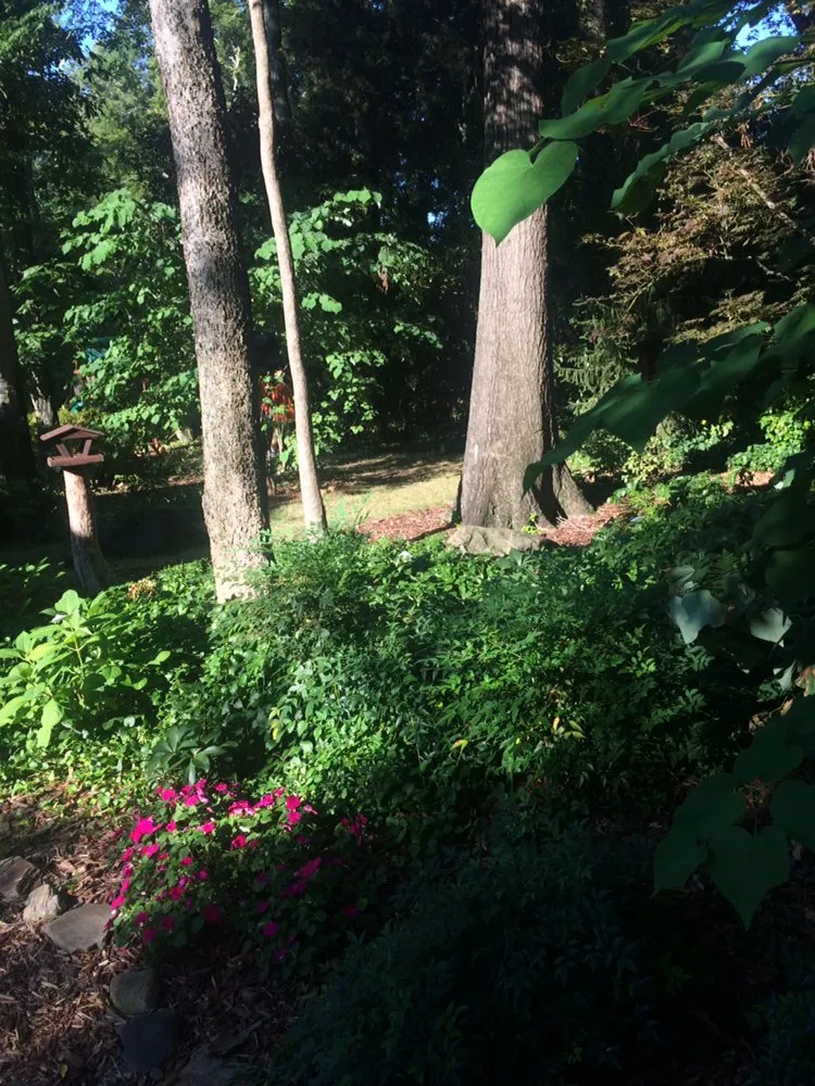 Reliable lawn care service in Charlotte, NC by The Pro TEK Group