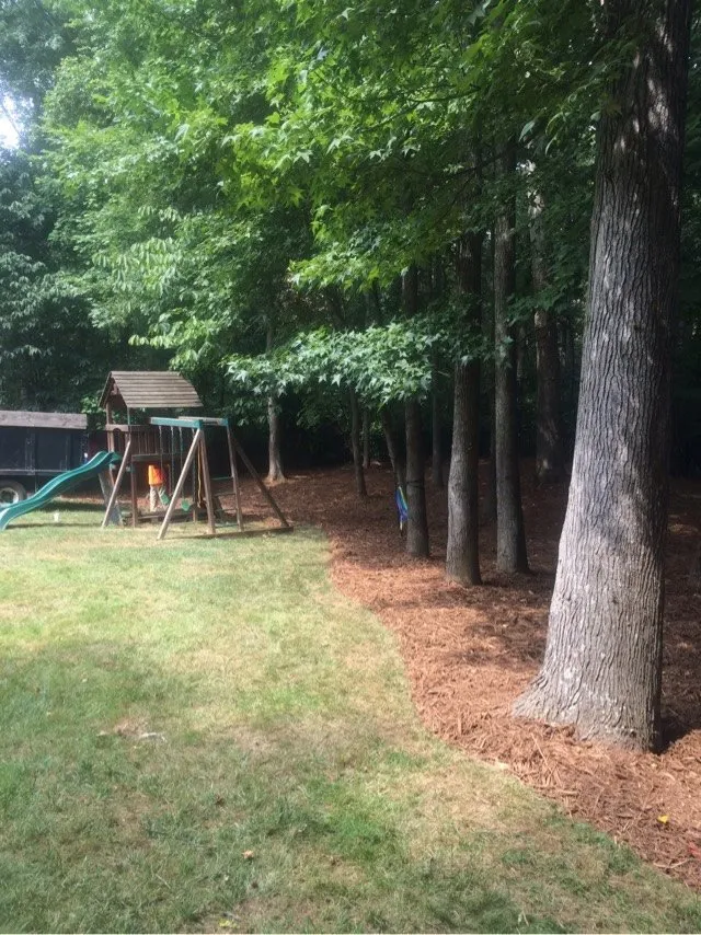 Professional landscape design with custom design across Charlotte, NC - The Pro TEK Group