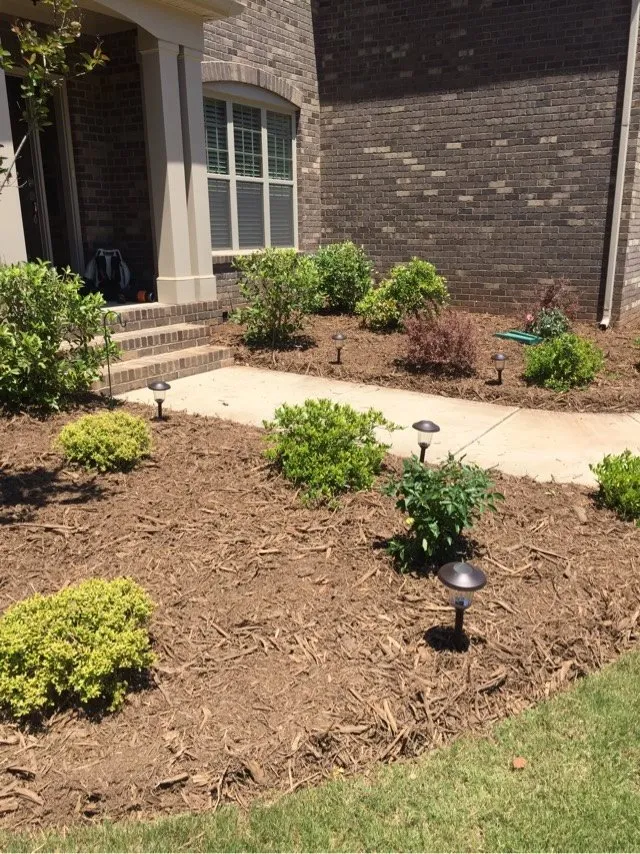 Reliable yard maintenance experts serving Charlotte, NC - The Pro TEK Group
